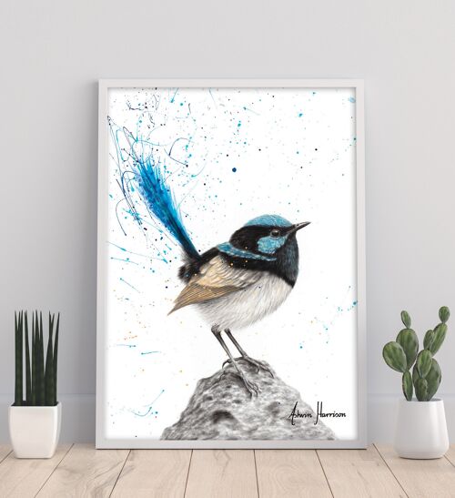 Mountain Blue Wren - 11X14” Art Print by Ashvin Harrison