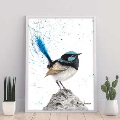 Mountain Blue Wren – 11X14” Kunstdruck von Ashvin Harrison