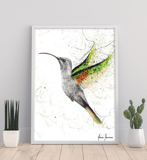 Hero Hummingbird - 11X14” Art Print by Ashvin Harrison