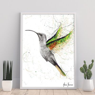 Hero Hummingbird – 11X14” Kunstdruck von Ashvin Harrison