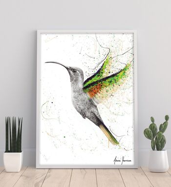 Héros Colibri - 11X14" Art Print par Ashvin Harrison