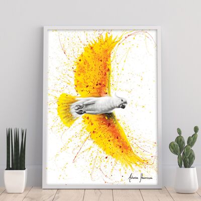 Singender Sommervogel – 11 x 14 Zoll Kunstdruck von Ashvin Harrison