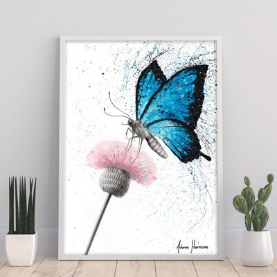 Sugar Butterfly - 11X14” Art Print by Ashvin Harrison