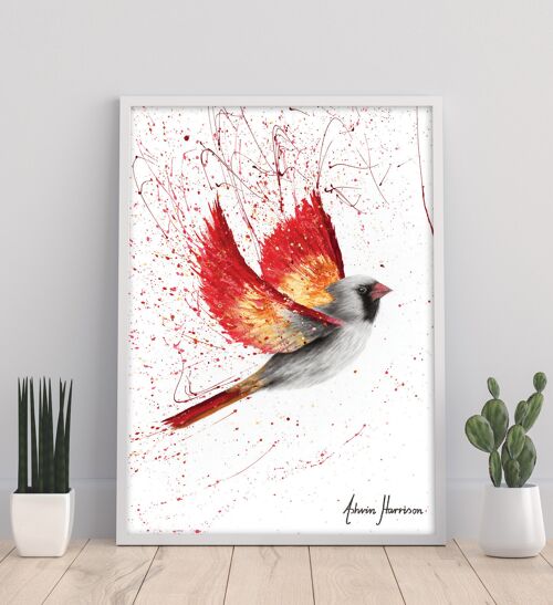 Caring Cardinal - 11X14” Art Print by Ashvin Harrison