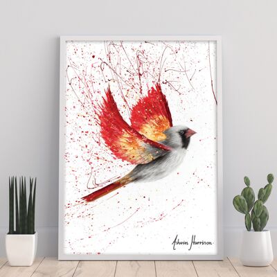 Caring Cardinal - 11X14” Art Print by Ashvin Harrison