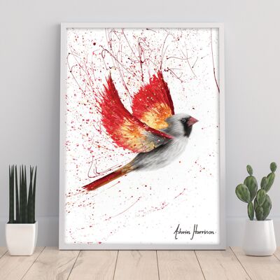Caring Cardinal - 11X14” Art Print by Ashvin Harrison