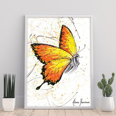 Warm Summer Butterfly - 11X14” Art Print by Ashvin Harrison