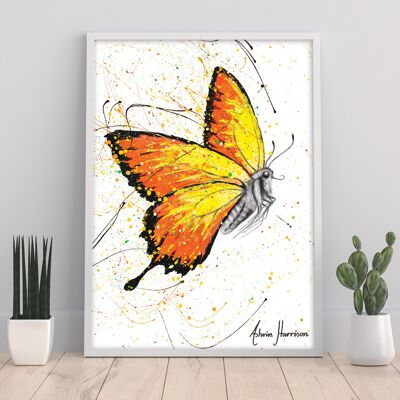 Warm Summer Butterfly - 11X14” Art Print by Ashvin Harrison