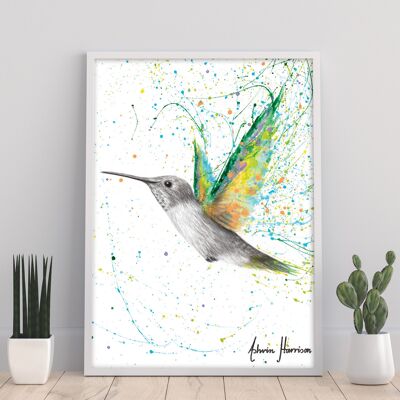 Pfirsichfarbener Sommerkolibri 11 x 14 Zoll Kunstdruck von Ashvin Harrison