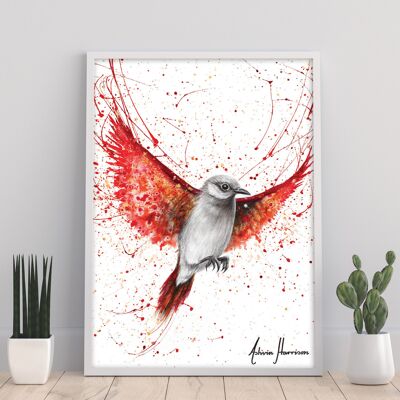 Singing Scarlet – 11X14” Kunstdruck von Ashvin Harrison