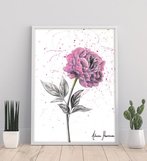 Soft Bloom - 11X14” Art Print by Ashvin Harrison
