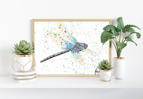 Melaleuca Dragonfly - 11X14” Art Print by Ashvin Harrison