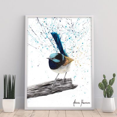 Geduldiger blauer Vogel – 11 x 14 Zoll Kunstdruck von Ashvin Harrison