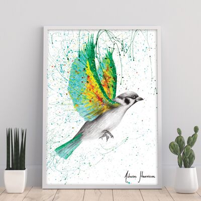 Pájaro de la costa esmeralda - 11X14" Impresión de arte por Ashvin Harrison