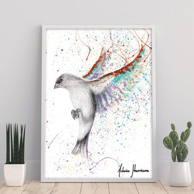 Oiseau du lac Lavande - 11X14" Art Print par Ashvin Harrison