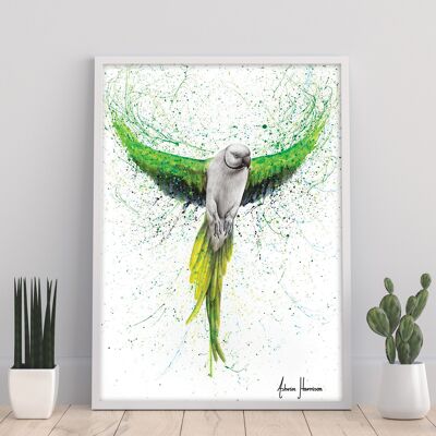 Faithful Flyer - 11X14” Art Print by Ashvin Harrison