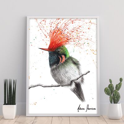 Rufous Crested Coquette -11X14" Kunstdruck von Ashvin Harrison