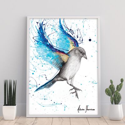 Funkelnder blauer Vogel – 11 x 14 Zoll Kunstdruck von Ashvin Harrison