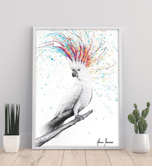 Cool Cockatoo - 11X14” Art Print by Ashvin Harrison