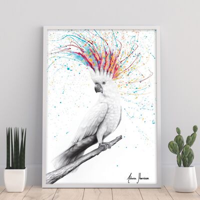 Cool Cockatoo - 11X14” Art Print by Ashvin Harrison