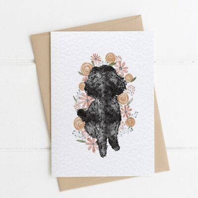 Poppy Poodle