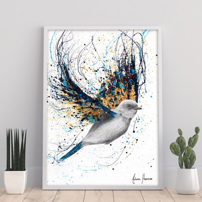 Oiseau au trésor nocturne - 11X14" Art Print par Ashvin Harrison