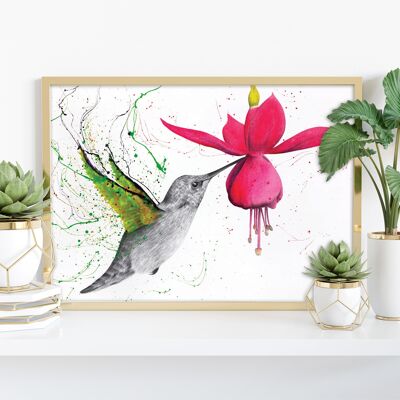 Colibrí del jardín de primavera - 11X14" Lámina artística