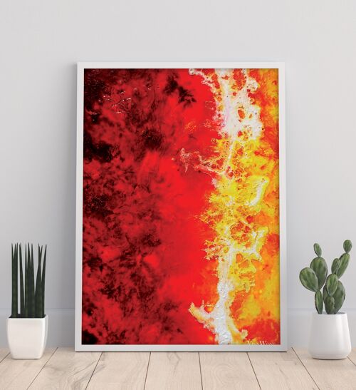 Inner Gardens VIII - 11X14” Art Print by Vinn Wong