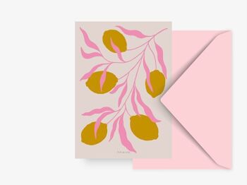 Carte postale / Branche de citron 2
