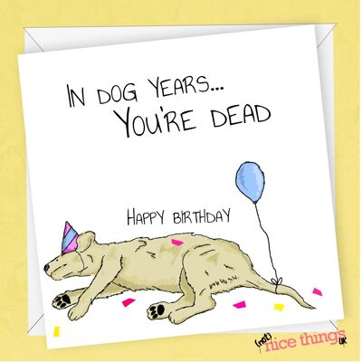 Dog Years Birthday Card | Old Age Birthday Card