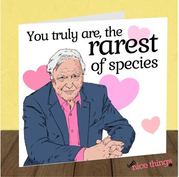 Carte David Attenborough | Funny Valentines / Carte d'anniversaire 2