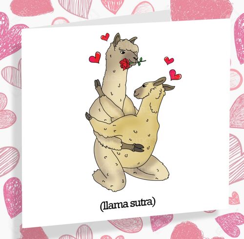 Llama Sutra Naughty Anniversary Card | Funny Anniversary Card
