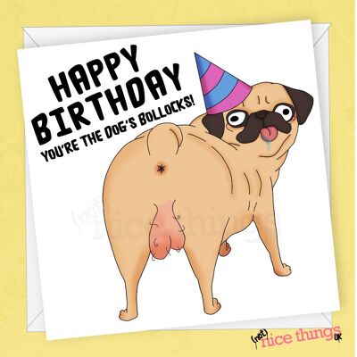 Carte d'anniversaire Bollocks du chien | Carte d'anniversaire drôle, cartes grossières pour lui