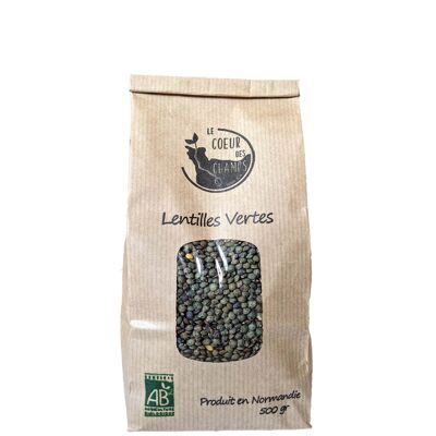 Green lentils Box of 12 sachets of 500 g