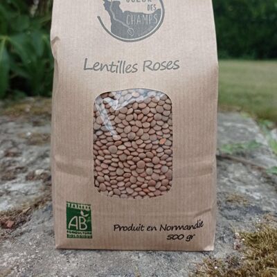 Lentilles Roses Carton de 12 sachets de 500 g