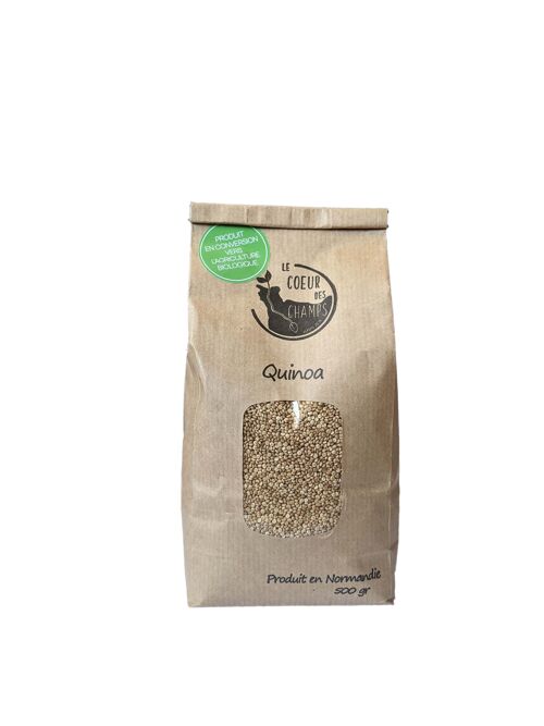 Quinoa Carton de 12 sachets de 500 g