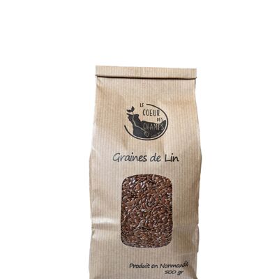 Brown flax seeds Box of 12 sachets of 500 g