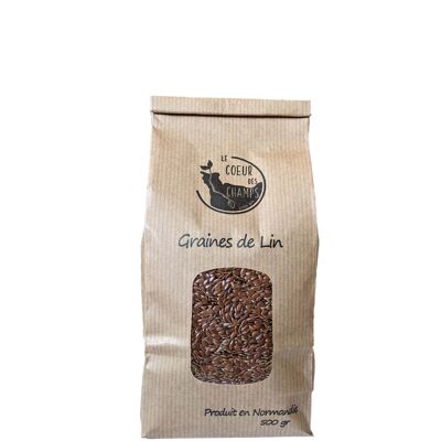 Brown flax seeds Box of 12 sachets of 500 g