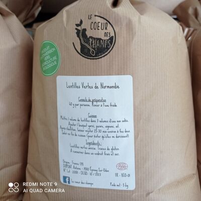 Green lentils Kraft bag of 5 Kg