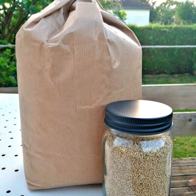 Quinoa Busta da 5 Kg