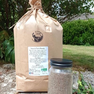 Chia seeds Kraft bag of 5 Kg