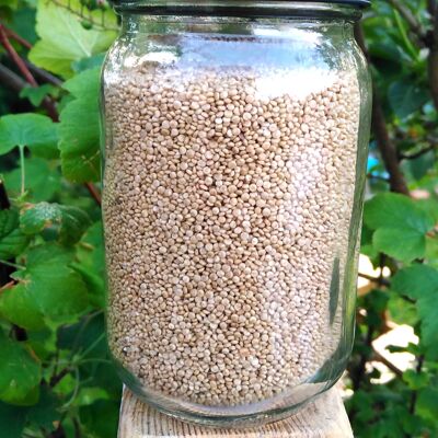 Quinoa-Beutel von 25 kg
