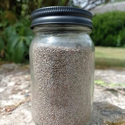 Chia seeds Bag of 25 Kg