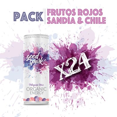 Good Spark Patagonia Mix Organic Energy Drink