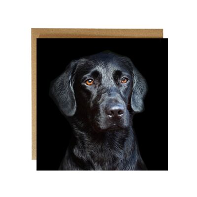Schöne - schwarze Labrador-Grußkarte