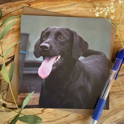 Tarjeta de felicitación feliz perro labrador negro