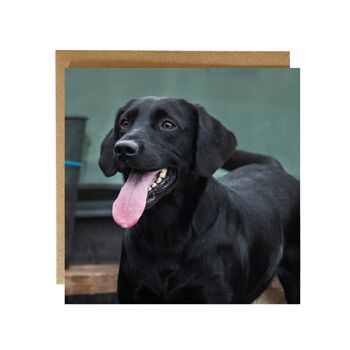 Carte de voeux de chien labrador noir heureux 2