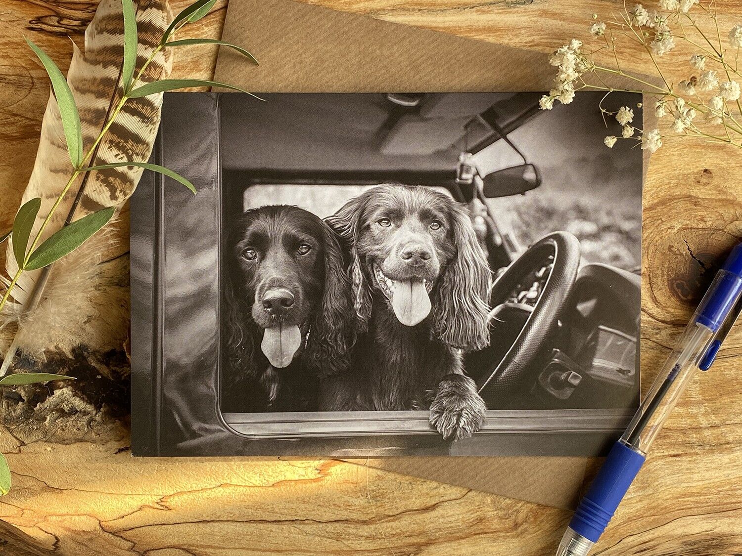 Can we drive today - two spaniels in the driver seat of a land rover Greeting card