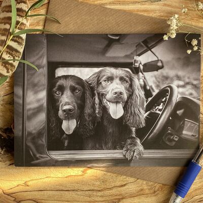 Can we drive today - two spaniels in the driver seat of a land rover Greeting card