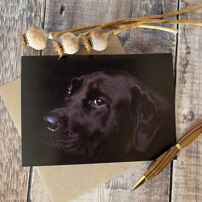 Sad Black Labrador portrait greeting card